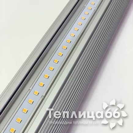 Фитосветильник ДСП 02-35-003 35 Eco Red